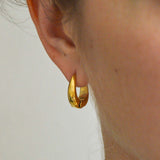 Oval Earrings
