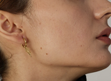 Golden Wing Earrings